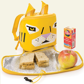 Eco-Friendly Lunch Bags