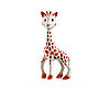 Giraffe Nursery Theme