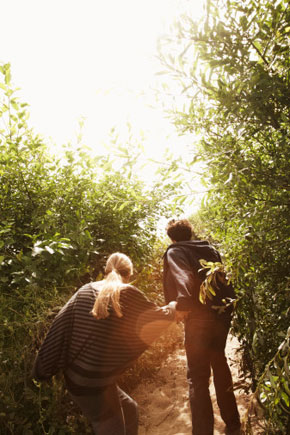 Dates Ideas for Parents to Do During the Day