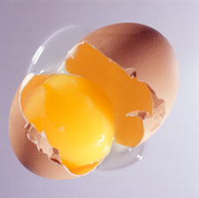 Quiz: All About Eggs