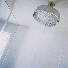 Bacteria Spewing From Your Shower Head? Bacteria Spewing From Your Shower Head?