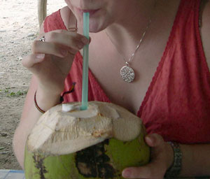 Treating Food Poisoning With Coconut Water