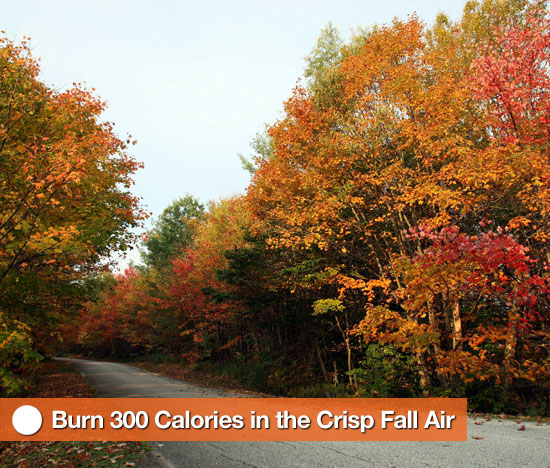 How to Burn Calories in the Fall