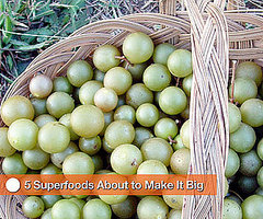 5 New Superfoods