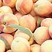 Peaches