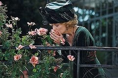 Do You Have Roses in Your Garden?