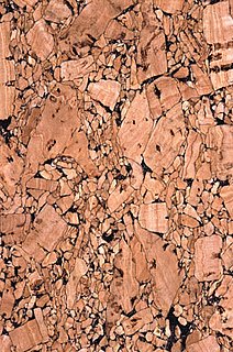 Ask Casa: Rugs For My New Cork Floors