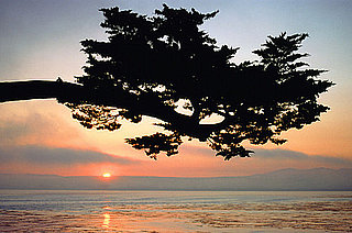 10 Ways to Californify Your Crib