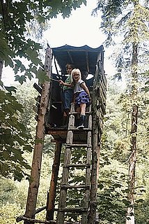 Guess Who Dreamt of Building a Grandiose Tree House?