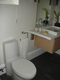 Do You Have a Dual-Flush Toilet?