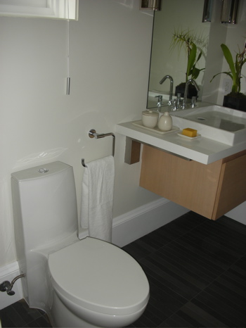 Do You Have a Dual-Flush Toilet?