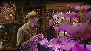 Surprising Decorating Finds From Harry Potter and the Half-Blood Prince