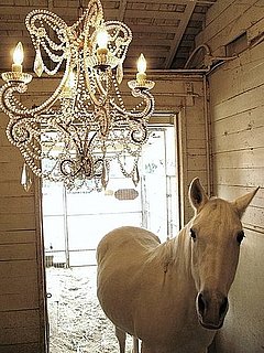 Crave Worthy: Petrea Chandelier