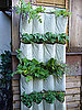 Cool Idea: A Shoe Organizer as a Vertical Garden