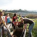 Alemany Farm, San Francisco, CA