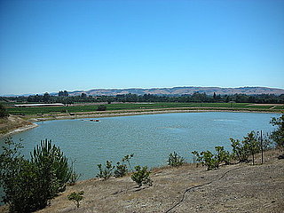 Do You Have a Lake or Pond on Your Property? 