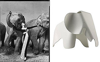 Inspired: Richard Avedon's MoMA Exhibit