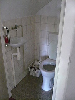 Before and After: A Dull Bath Blossoms