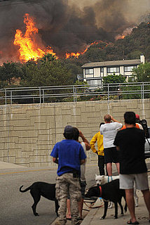 How-To: Stay Safe During a Wildfire
