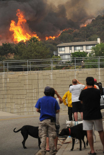 How-To: Stay Safe During a Wildfire