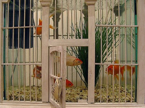 11 Alternative Uses For Birdcages
