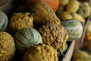 Do You Decorate With Gourds?