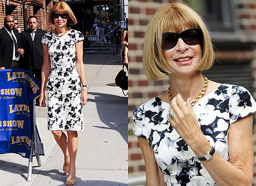 Photos and Video of Anna Wintour on David Letterman in Carolina Herrera