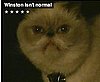 Happy Caturday!