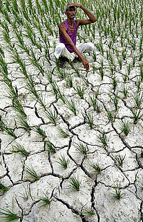 Indian Women Asked to Plow Fields Naked For Rain 