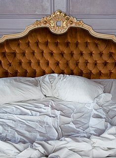 Have You Ever Had a One-Night Stand?