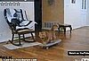 Skateboarding Cat