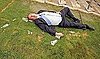 Britain to Impose Booze-Ban on "Antisocial" Drunks 