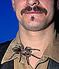 Stranger Than Fiction: Spider Venom For Erectile Dysfunction