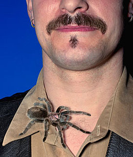 Stranger Than Fiction: Spider Venom For Erectile Dysfunction