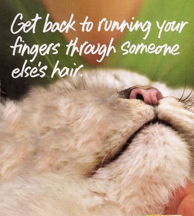 Guess What This Ad Is For?