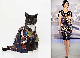 Happy Caturday!
