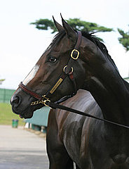 Rachel Alexandra the Great!