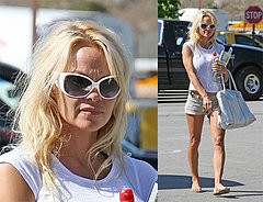 Pamela Not Making it to Cannes for her Premiere