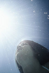 How Much Time Do You Need in the Sun to Get Enough Vitamin D?