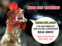 What Ever Happened to the Bird Flu? What Ever Happened to the Bird Flu?