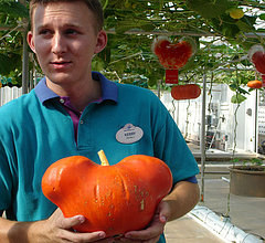 EPCOT's Pumpkins Earn Their Ears EPCOT's Pumpkins Earn Their Ears
