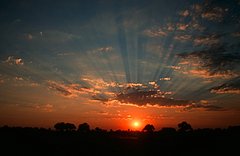 Do Tell: Do you See the Silver Lining?