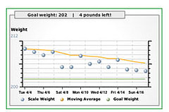 Track Your Progress Online: The Google 15