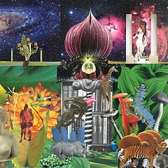 Music Video: Apples in Stereo, "Same Old Drag"