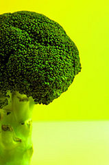 Rise Up and Demand Fresh Veggies Rise Up and Demand Fresh Veggies