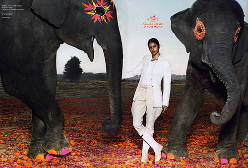 Fab Ad: Hermes Spring 2008 