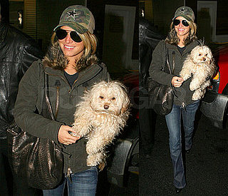 Jessica Simpson Is a Camouflage Cowboy