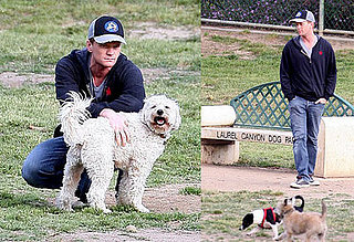 Neil Patrick Harris Contemplates His Blog