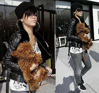 Rihanna and her dog shopping in LA