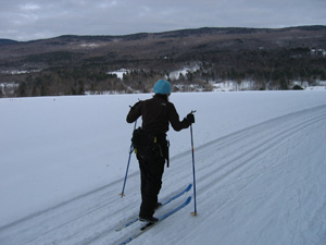 Cross-Country Skiing Tip: Stay in the Tracks